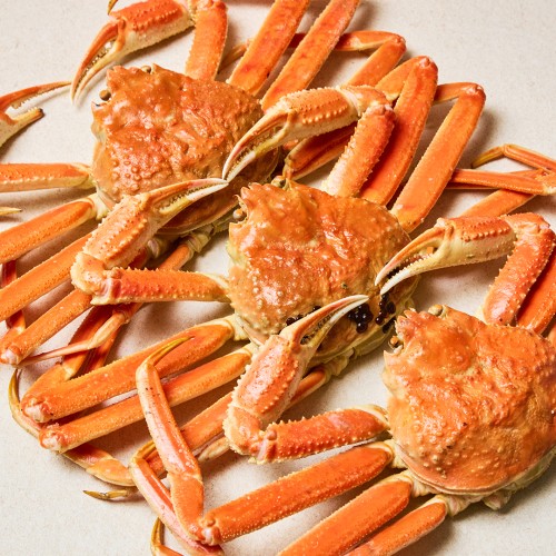 마가단 자숙대게 3kg, 집에서 즐기는 역대급 풍성함!