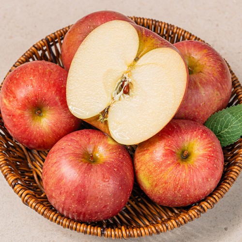 25년 첫 수확! 끝판왕 부사사과, 산골의 달콤함을 그대로 담았어요