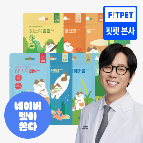 냥쌤 88스틱 고양이츄르 닭가슴살 참치츄르, 우리 아이 간식 고민 끝!