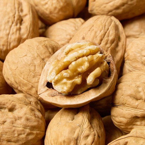 미국 캘리포니아산 피호두, 찐 고소함으로 건강 간식 끝판왕 등극!