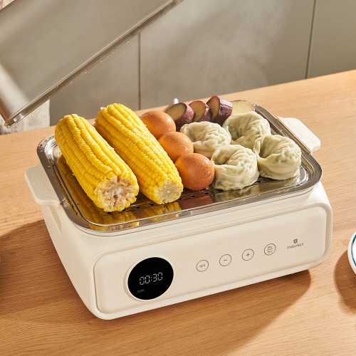 디온리 25년형 올스텐 터치 디지털 2단 고구마 계란찜기 세라믹 멀티쿠커 NAS421CW 대표 이미지