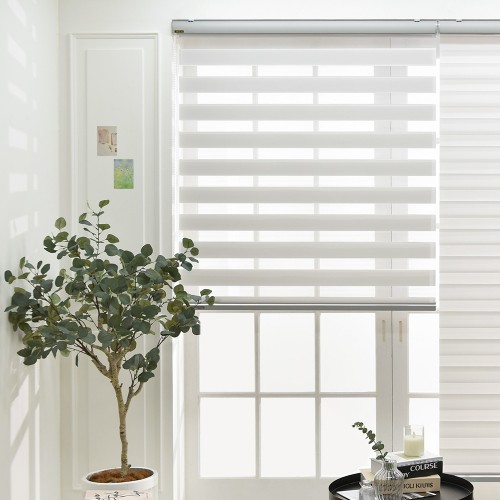 아라크네 네츄럴 콤비블라인드 30×30 솔직 후기 (가성비 최고!)