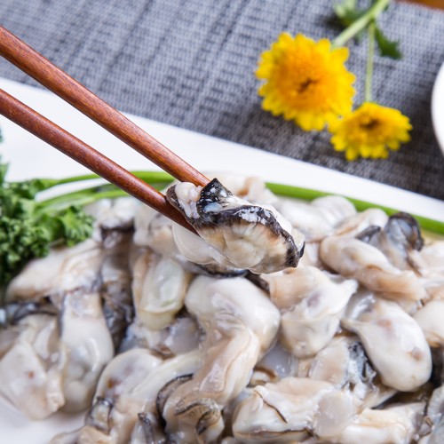 통영산 굴 생굴 1kg 솔직 후기: 싱싱함 그대로! (장단점 정리)