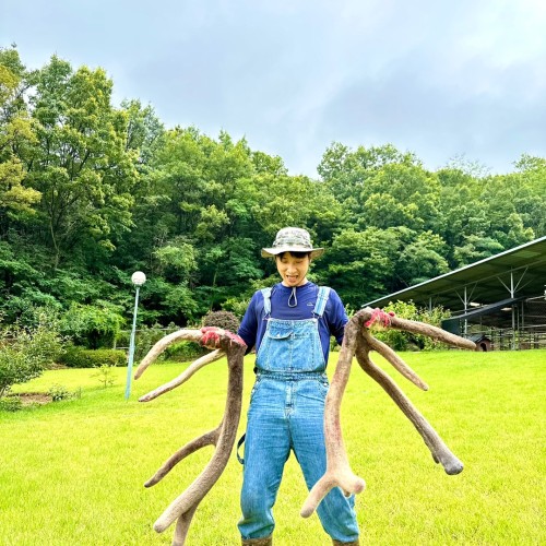 휘록 청록원 사슴농장 녹용 녹용즙 보약 건강즙 60봉 (110ml) 대표 이미지