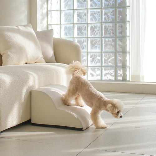 초코펫하우스 강아지계단 2단 한 달 써보니 이게 최고!