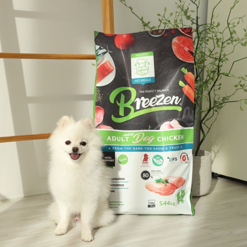 브리젠 강아지사료 한 달 급여 후기, 뭐가 달라졌을까?