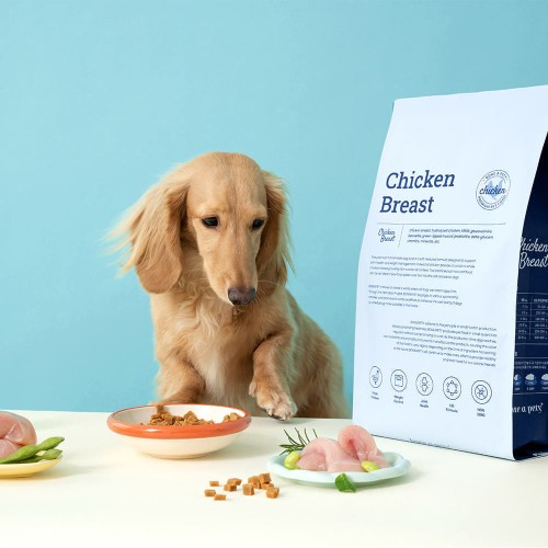 본아페티 수제사료 관절+다이어트 한 달 급여 후기