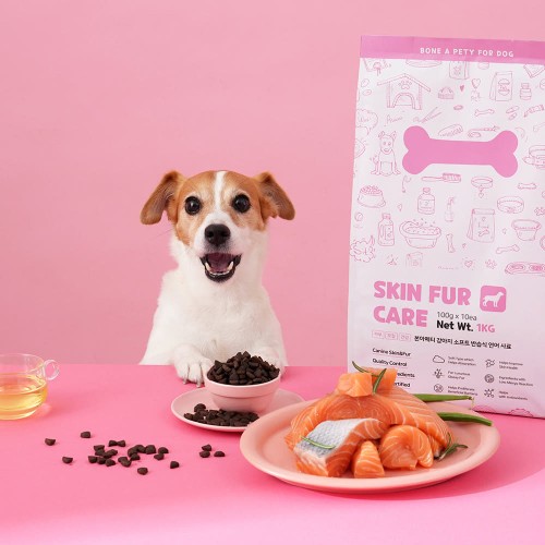 본아페티 강아지 피부 알러지 사료 3주 급여 후기