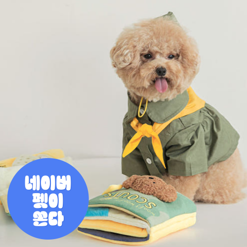 1+1 강아지 노즈워크 장난감 삑삑이 반려견 훈련 애견 놀이 대표 이미지