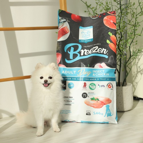 브리젠 인섹트 치킨 강아지사료, 한 달 급여 후기 (피부 개선까지?)