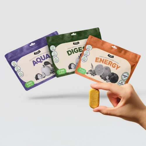 반려동물 영양제 바꾸고 느낀 차이점