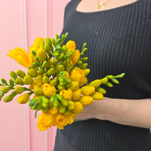 유스풀몰 프리지아 10줄기 후리지아 생화 꽃배달싼곳 꽃 대표 이미지