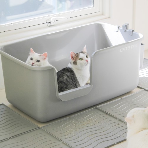 캣츠태그 BESPOKE 묘래박스 롱 고양이 화장실 대형 대표 이미지
