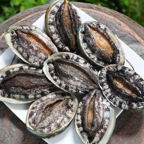 완도전복생산자협동조합 전복선물세트, 왕특대 2kg 명절 선물